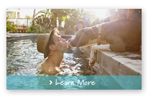man kissing dog in pool on vacay