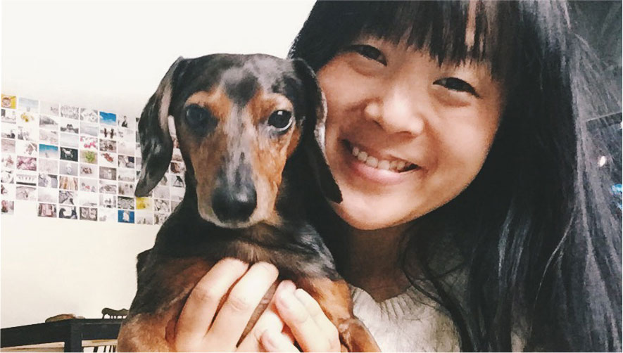 Dog Boarding with Trusted, Local Pet Sitters DogVacay